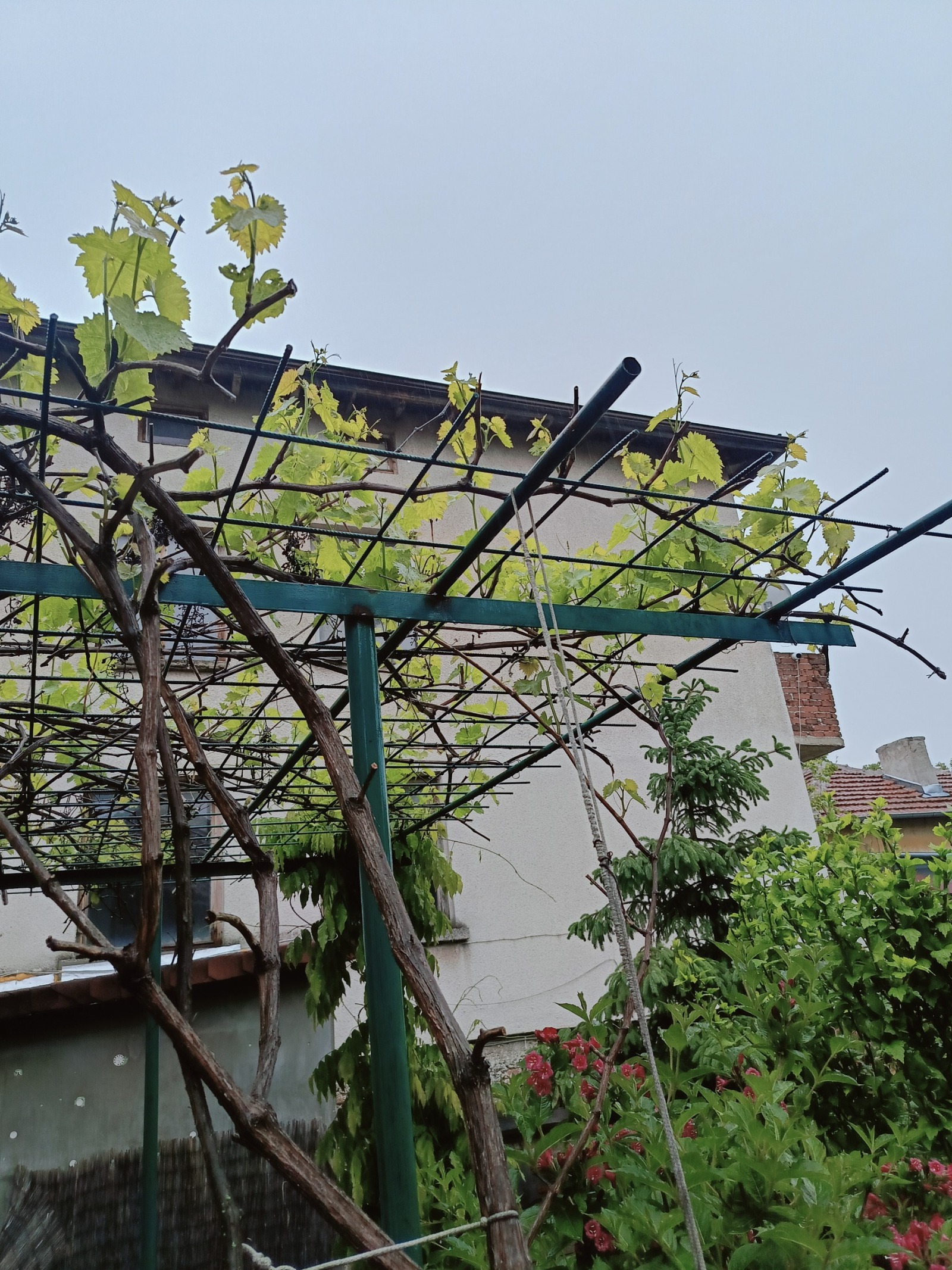 ������� ���� | Imot.bg � ����������� 3