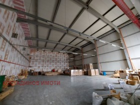 ����� ������� �����,���� �������, ������������ ���� - ������