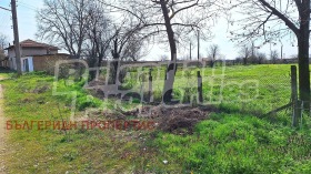 ����� ������� ������,�. ��������, ������ �������