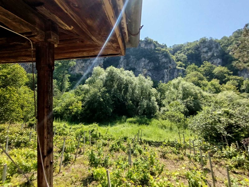 Продава  Къща област Русе , с. Нисово , 290 кв.м | 81052306 - изображение [6]