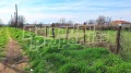Продава ПАРЦЕЛ, с. Дрангово, област Пловдив, снимка 2
