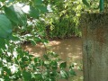 Продава КЪЩА, област Русе, с. Нисово • 39900 € • 26004089 — Holmes.bg