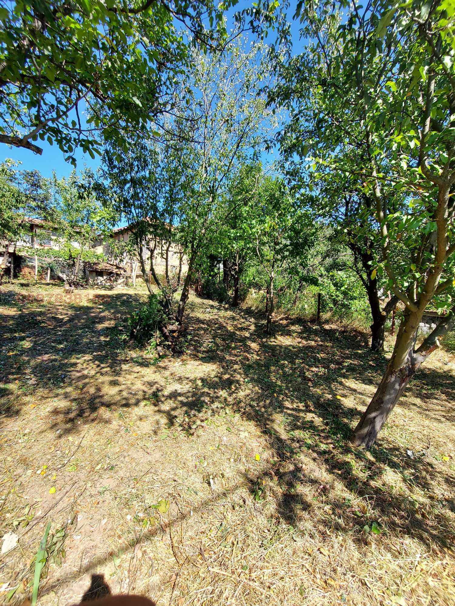 ������� ���� | Imot.bg � ����������� 5