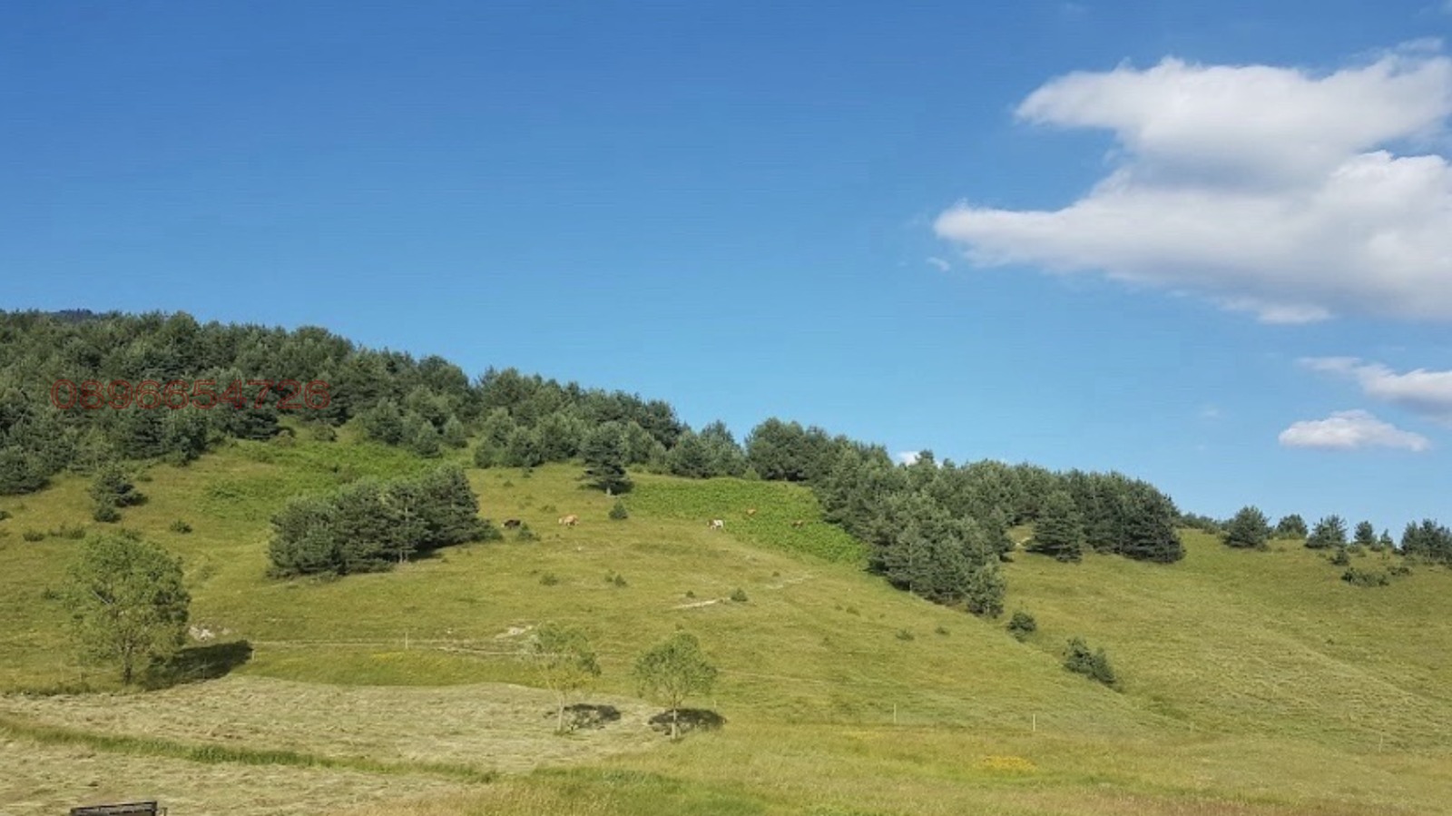 ������� ���������� ���� | Imot.bg � ����������� 3