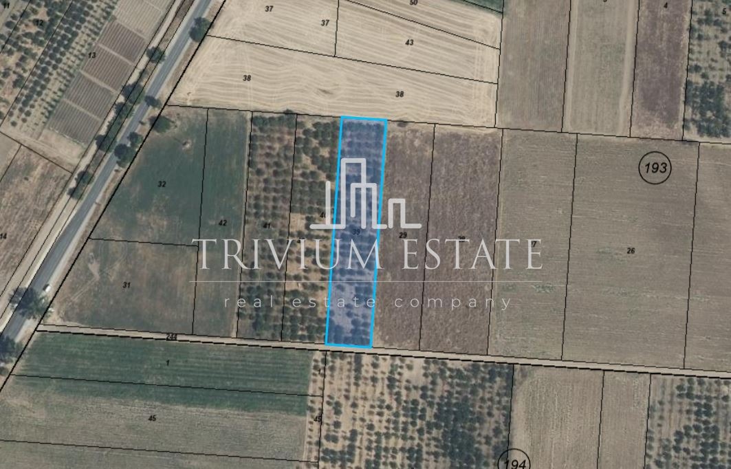 ������� ������ | Imot.bg � ����������� 1