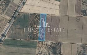 Продава  Парцел, с. Цалапица