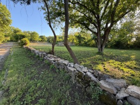 ����� ������� ������,�. ���������, ������ ������