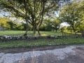 Продава ПАРЦЕЛ, област Перник, с. Кондофрей • 29900 € • 22678822 1
