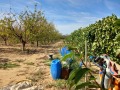 Продава ПАРЦЕЛ, с. Колена, област Стара Загора, снимка 2