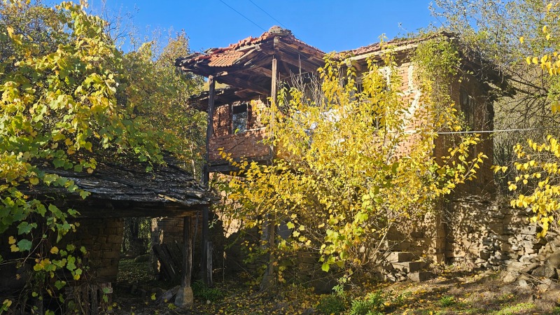 Продава КЪЩА в област София, с. Правешка Лакавица - 100 кв.м / 26 000 € » 50 851.58 лв., НОВА СОФИЯ