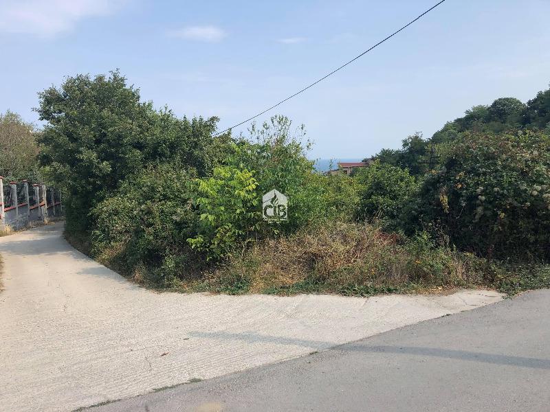 ������� ������ | Imot.bg � ����������� 5