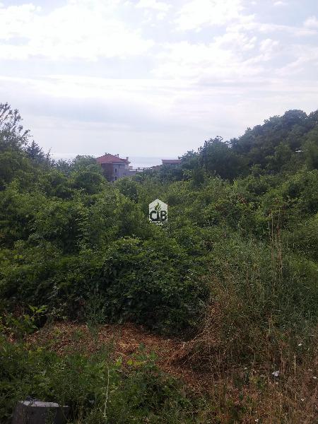 ������� ������ | Imot.bg � ����������� 10