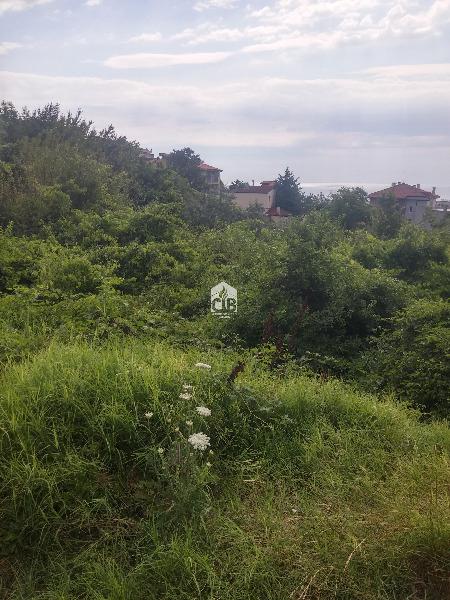 ������� ������ | Imot.bg � ����������� 11