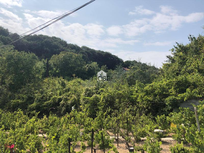 ������� ������ | Imot.bg � ����������� 8