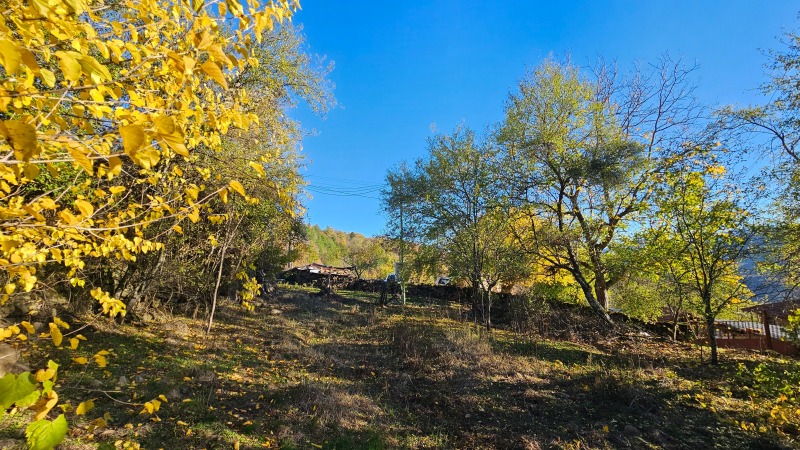 Продава КЪЩА, с. Правешка Лакавица, област София област, снимка 6 - Къщи - 52231976