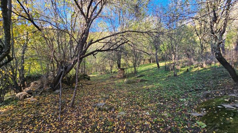 Продава КЪЩА, с. Правешка Лакавица, област София област, снимка 5 - Къщи - 52231976