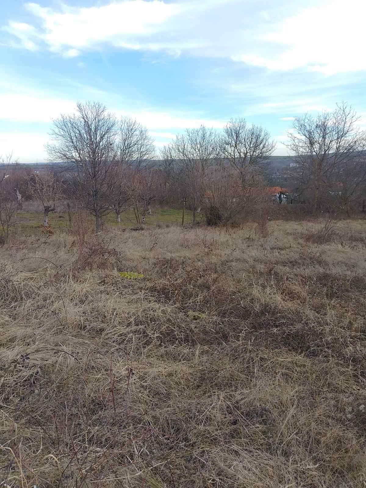 Продава ПАРЦЕЛ, с. Пороище, област Разград