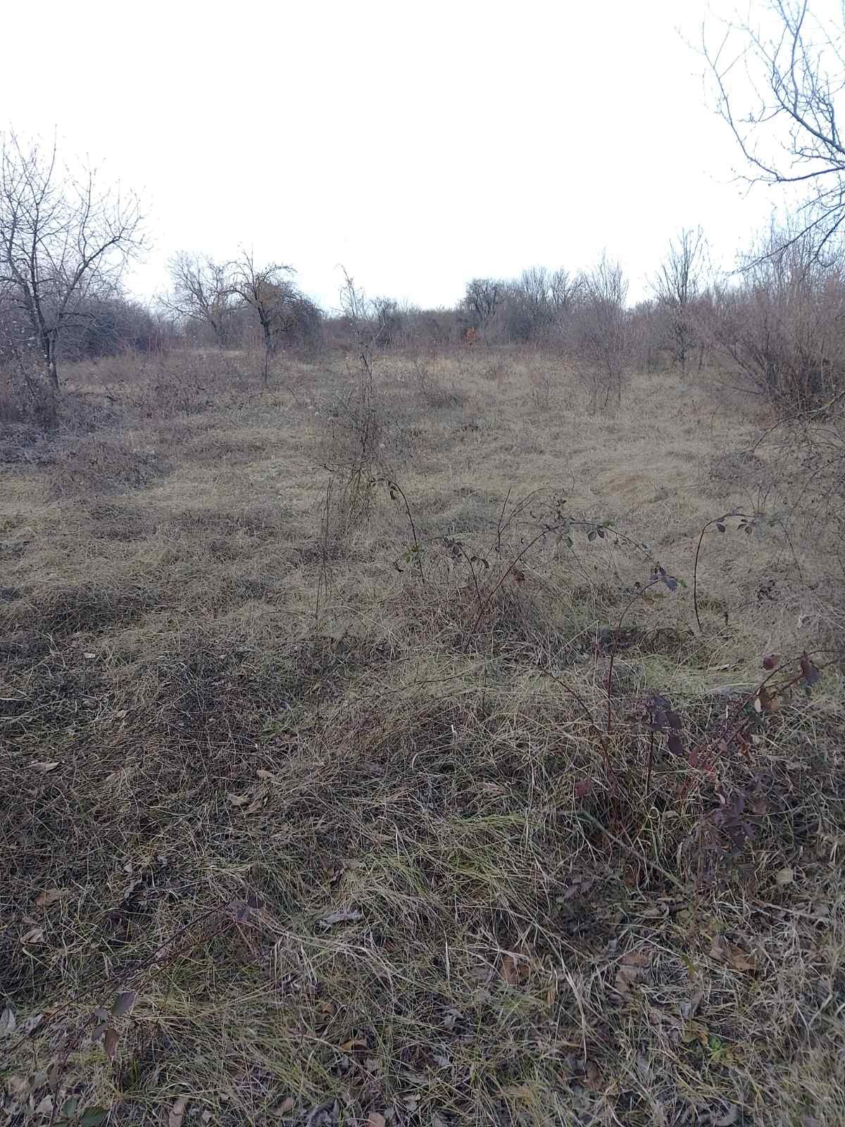 Продава ПАРЦЕЛ, с. Пороище, област Разград, снимка 2 - Парцели - 54034598