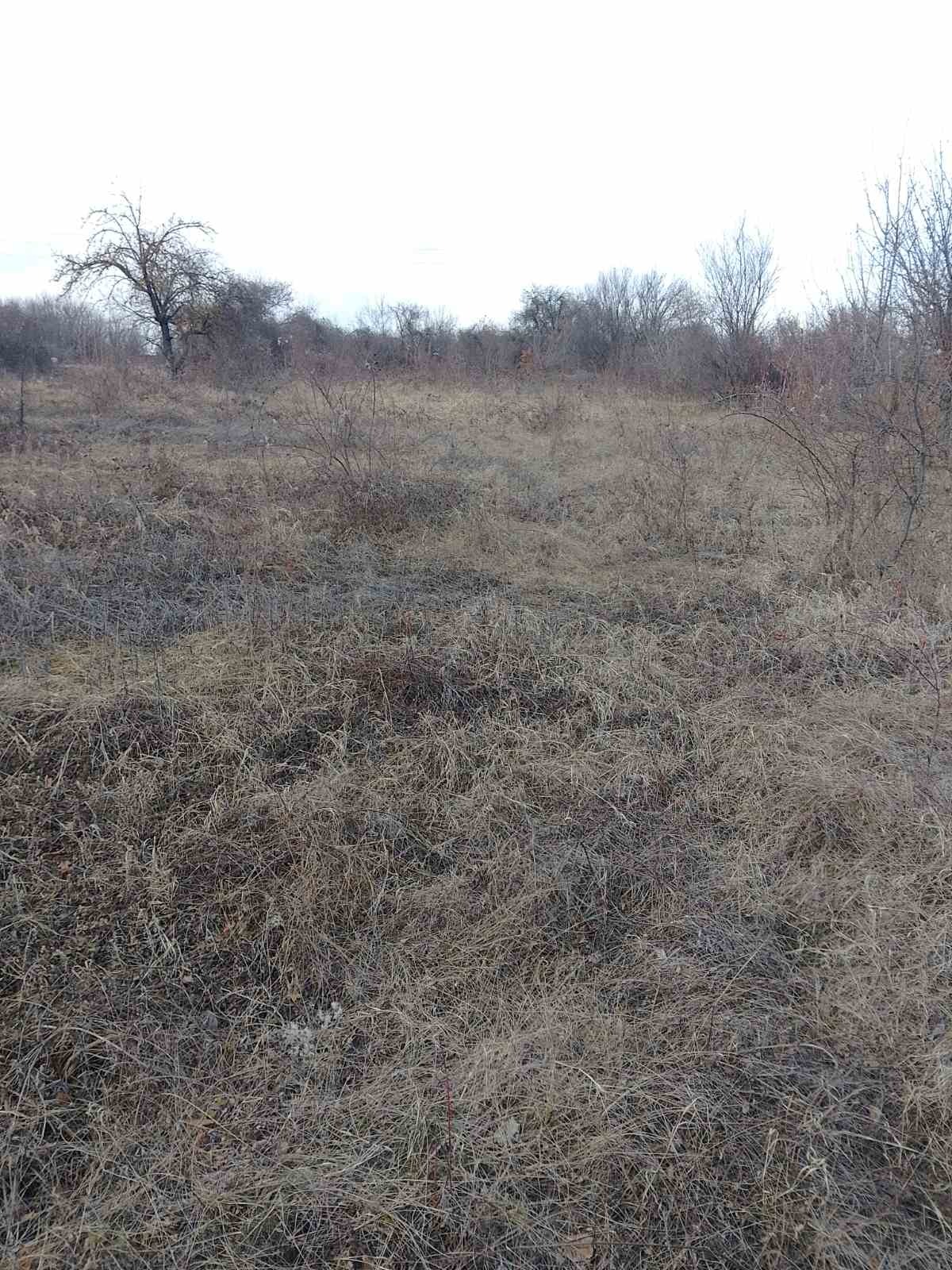 Продава ПАРЦЕЛ, с. Пороище, област Разград, снимка 2 - Парцели - 54412967