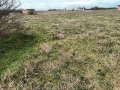Продава ПРОМ. ПОМЕЩЕНИЕ, с. Мирово, област Стара Загора, снимка 2