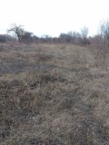 Продава ПАРЦЕЛ, с. Пороище, област Разград, снимка 2