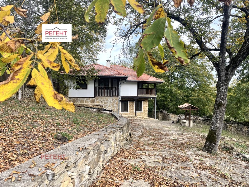 Продава КЪЩА в област Габрово, с. Влайчовци - 272 кв.м / 250 000 € » 488 957.50 лв., РЕГЕНТ