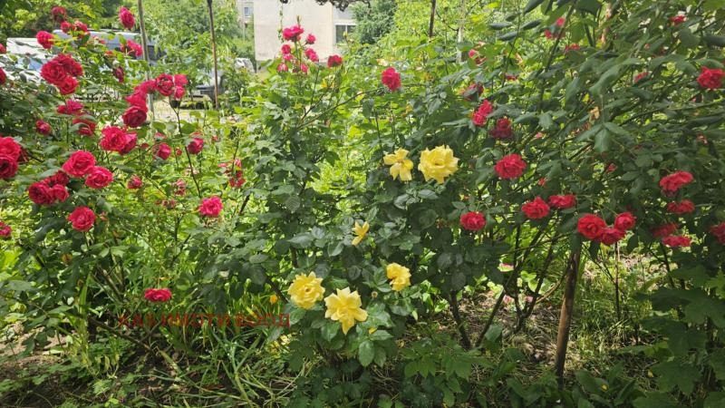 ������� 3-����� | Imot.bg � ����������� 17