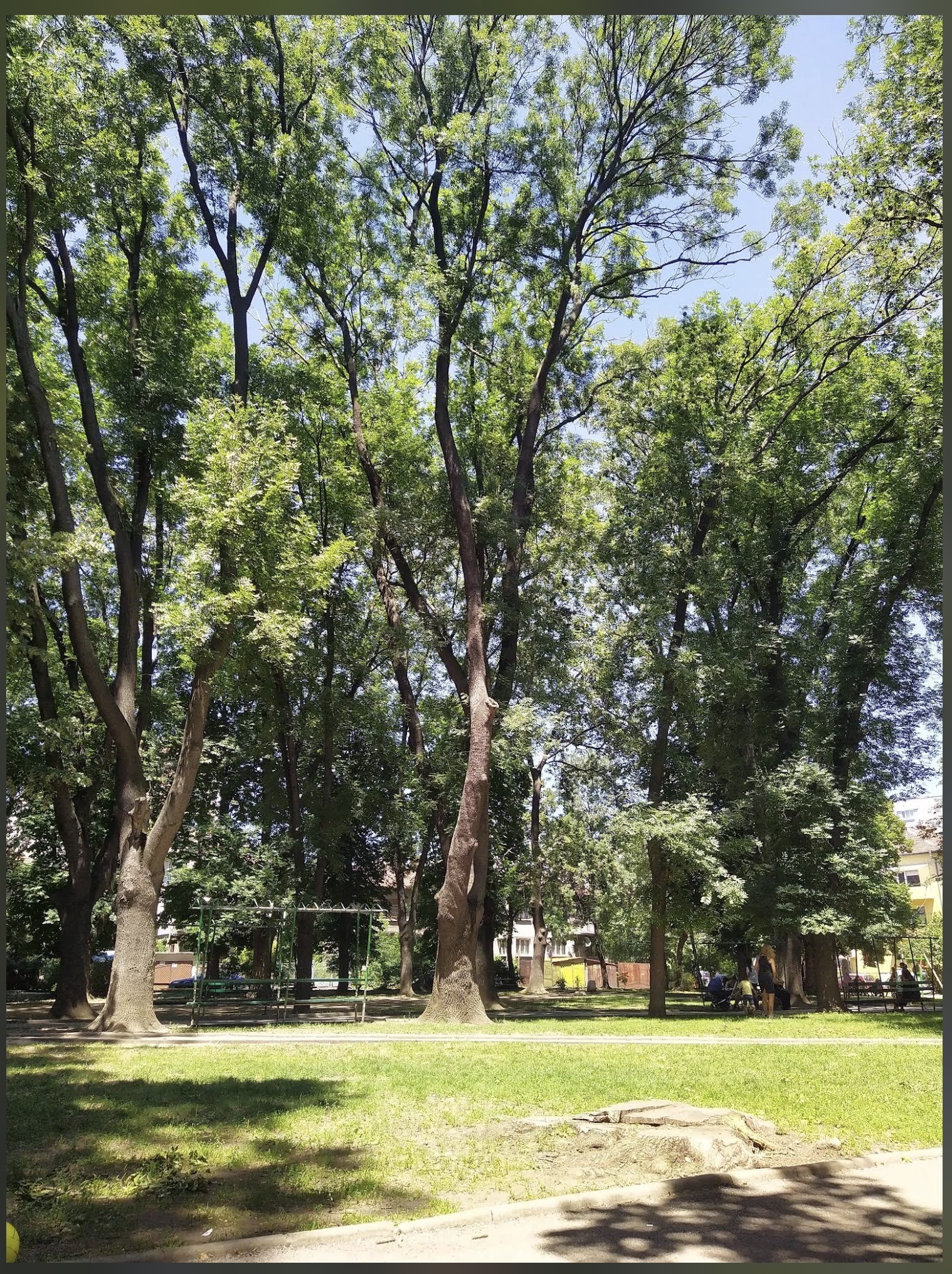 ������� 2-����� | Imot.bg � ����������� 2