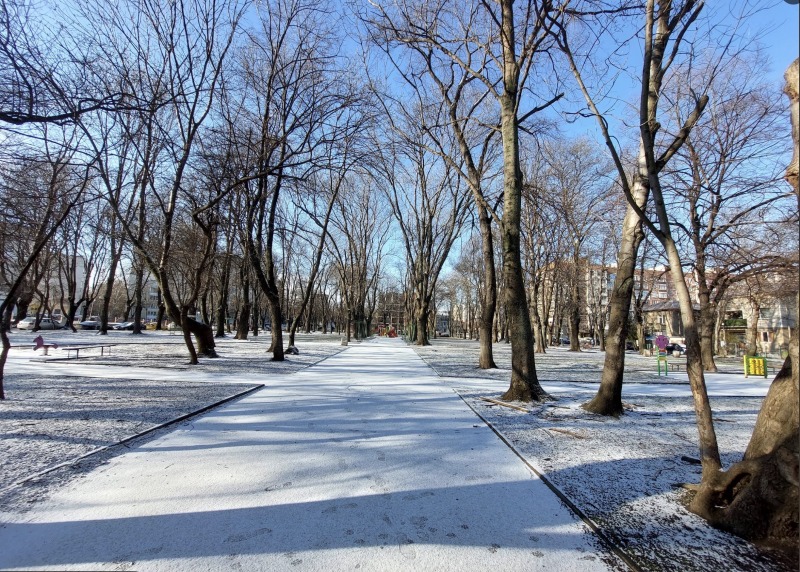 Продава 2-СТАЕН, гр. София, Хаджи Димитър, снимка 3 - Апартаменти - 53043938