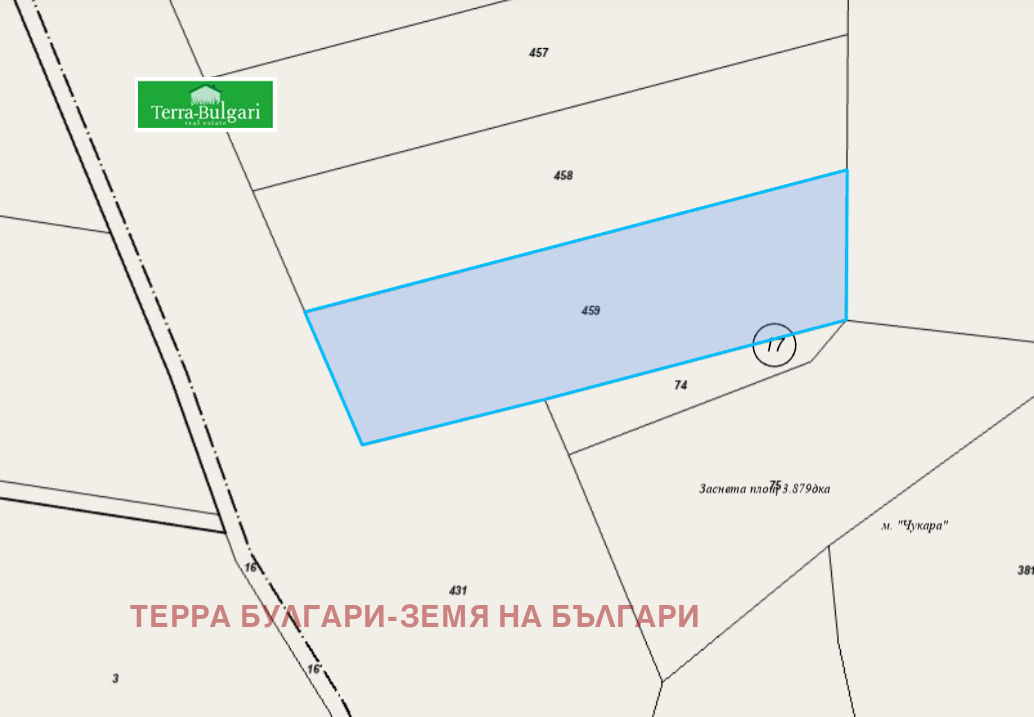 Продава ЗЕМЕДЕЛСКА ЗЕМЯ, с. Драгичево, област Перник, снимка 5 - Земеделска земя - 53770055