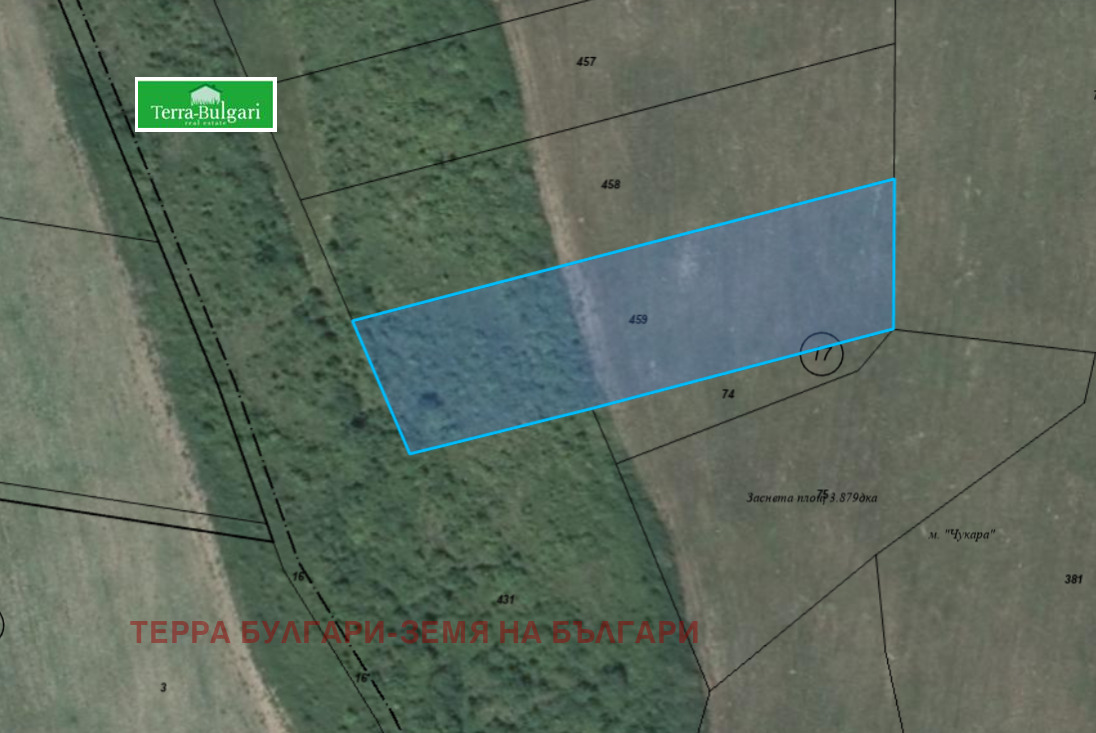 Продава ЗЕМЕДЕЛСКА ЗЕМЯ, с. Драгичево, област Перник, снимка 3 - Земеделска земя - 53770055