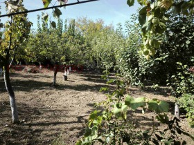 ������� ���� | Imot.bg � ����� ������ 8