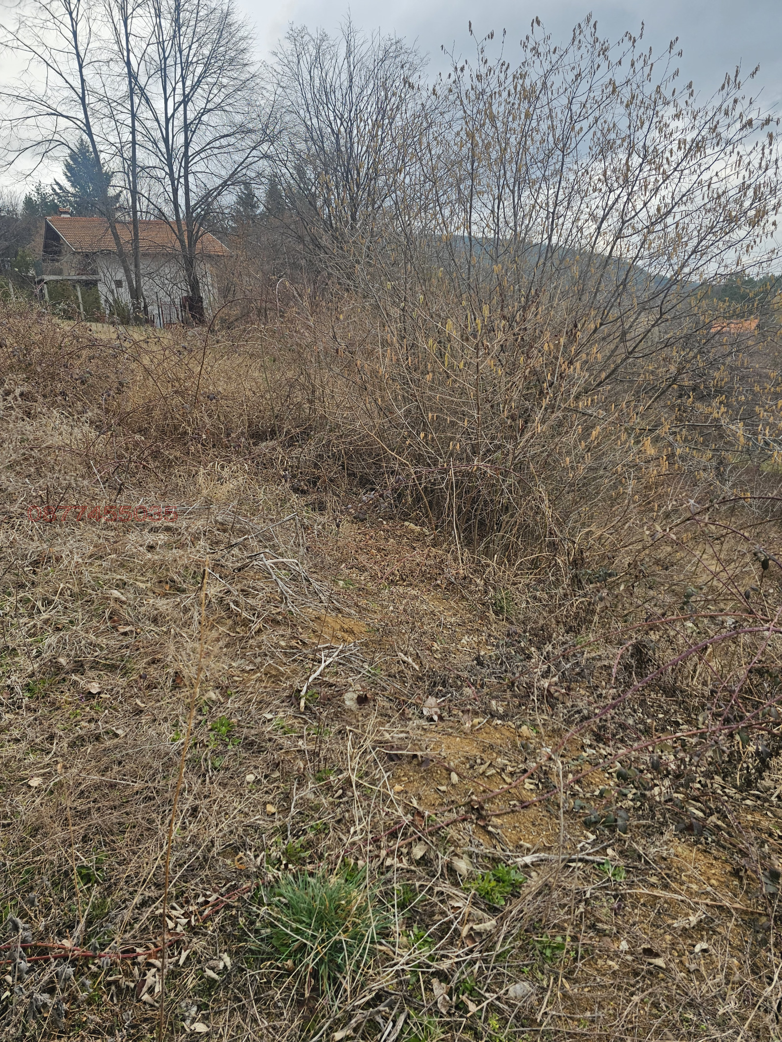 ������� ������ | Imot.bg � ����������� 17