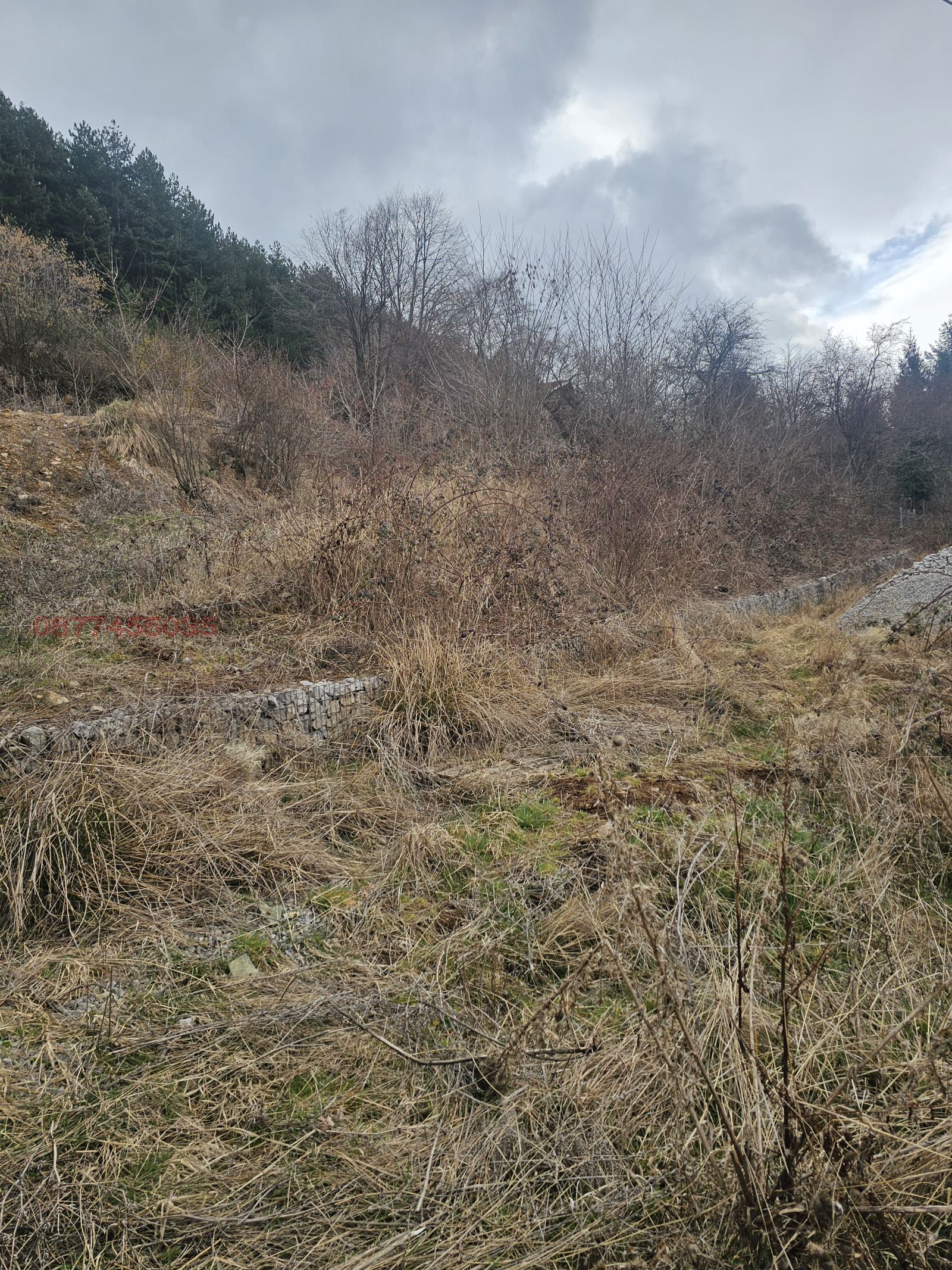 ������� ������ | Imot.bg � ����������� 9