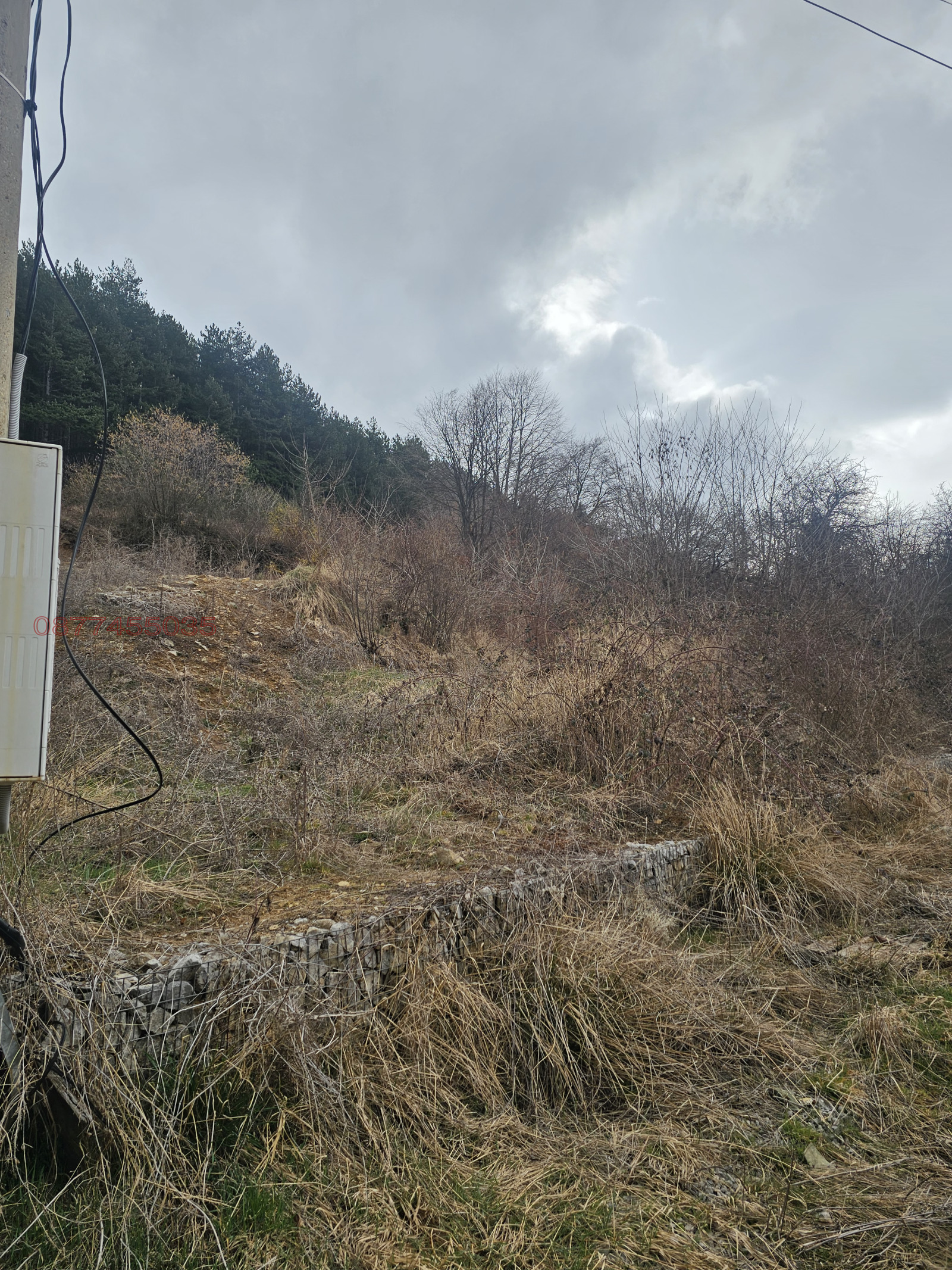 ������� ������ | Imot.bg � ����������� 8