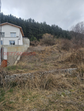 ������� ������ | Imot.bg � ����� ������ 5