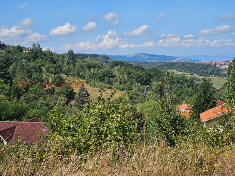 Продава ПАРЦЕЛ, с. Кладница, област Перник, снимка 4 - Парцели - 52780049