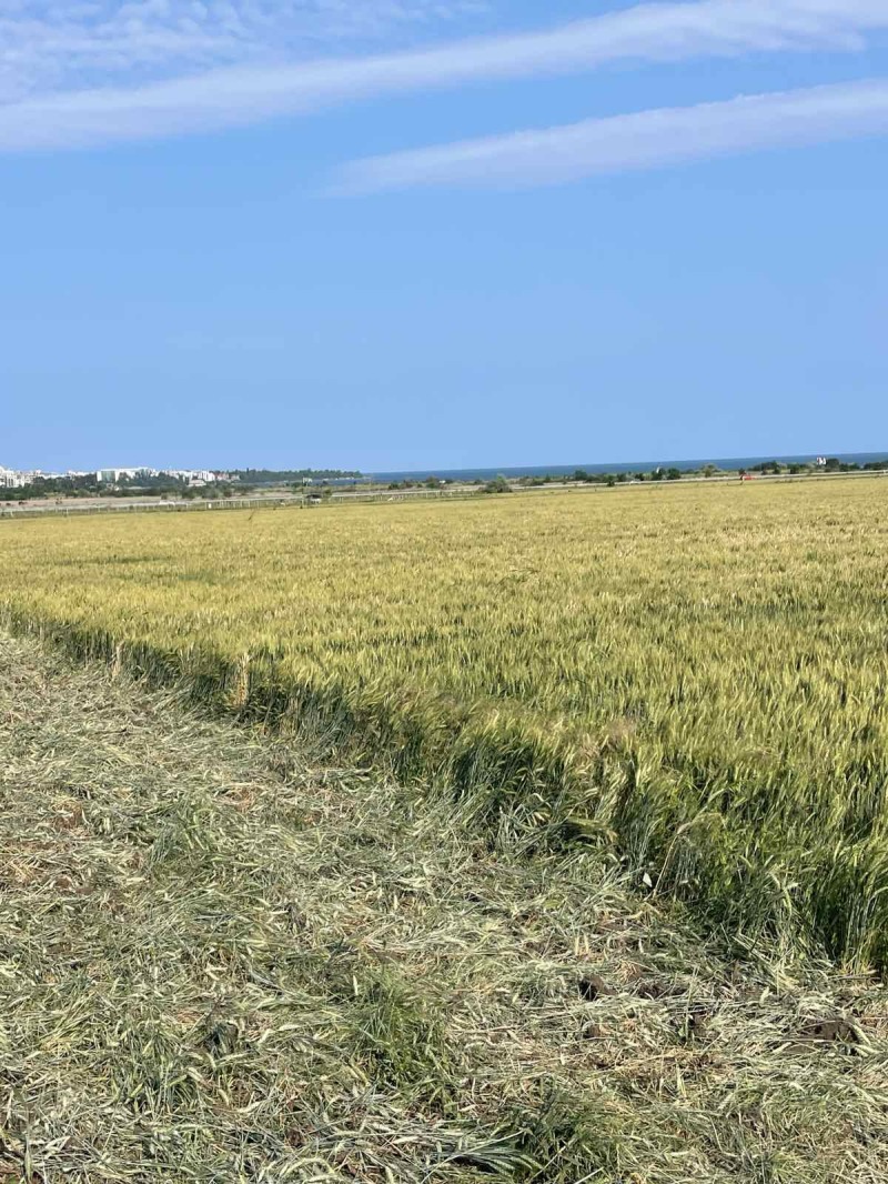Eladó  Cselekmény régió Burgasz , Pomorie , 4726 négyzetméter | 35573823 - kép [2]