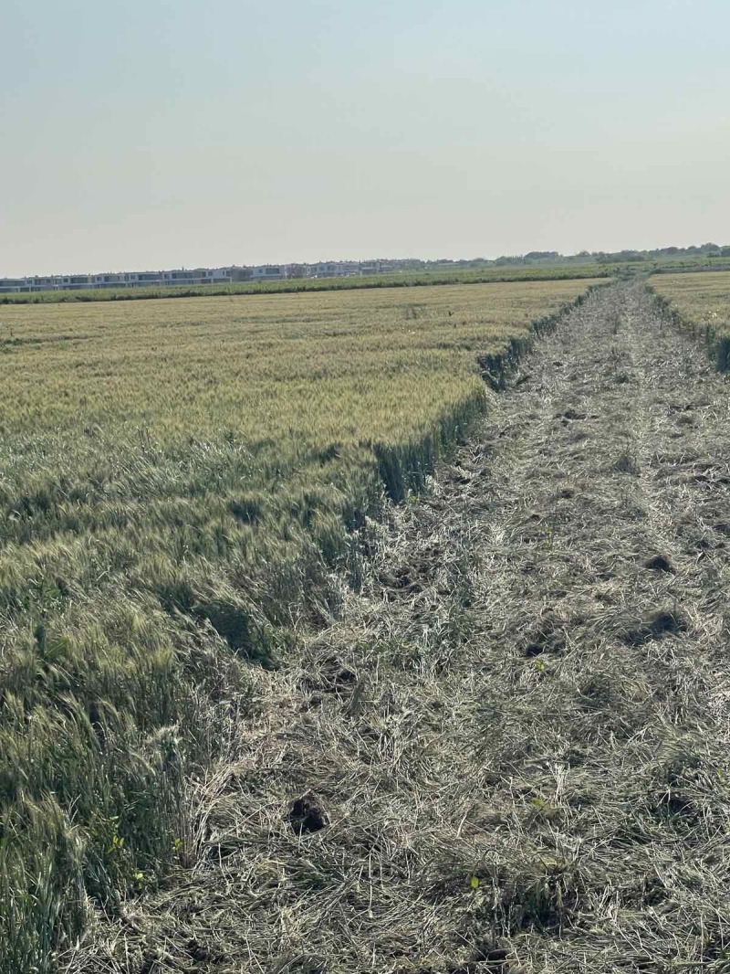 Eladó  Cselekmény régió Burgasz , Pomorie , 4726 négyzetméter | 35573823 - kép [6]