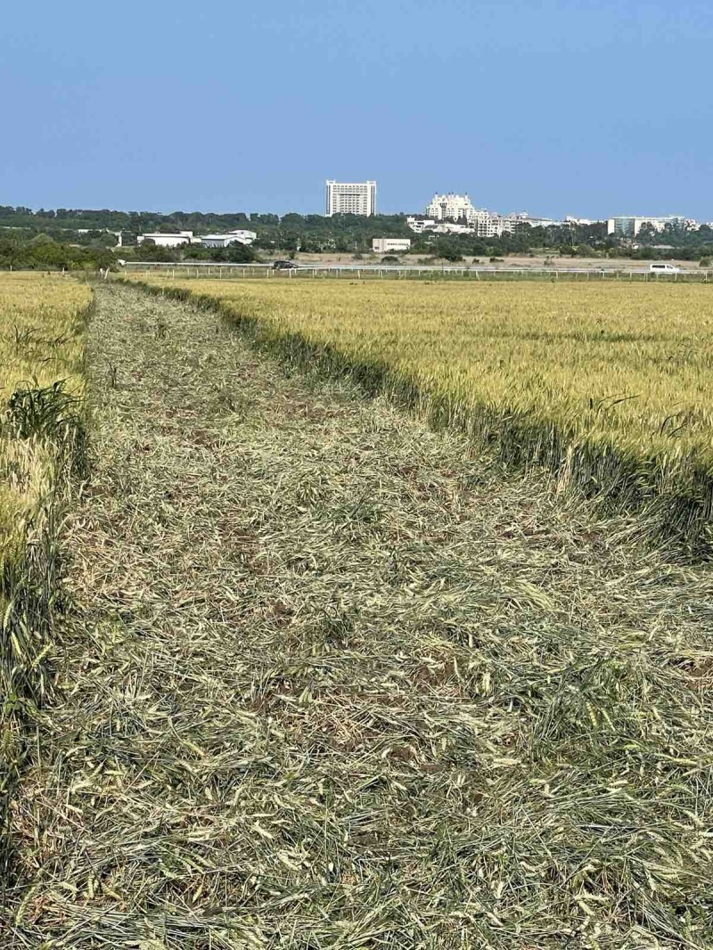 Eladó  Cselekmény régió Burgasz , Pomorie , 4726 négyzetméter | 35573823 - kép [3]