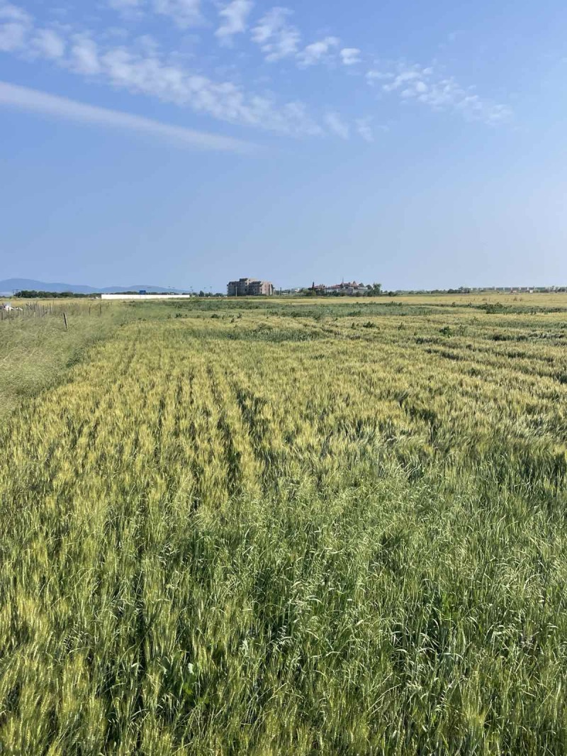 Eladó  Cselekmény régió Burgasz , Pomorie , 4726 négyzetméter | 35573823 - kép [5]