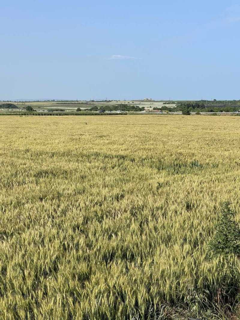 Eladó  Cselekmény régió Burgasz , Pomorie , 4726 négyzetméter | 35573823 - kép [8]