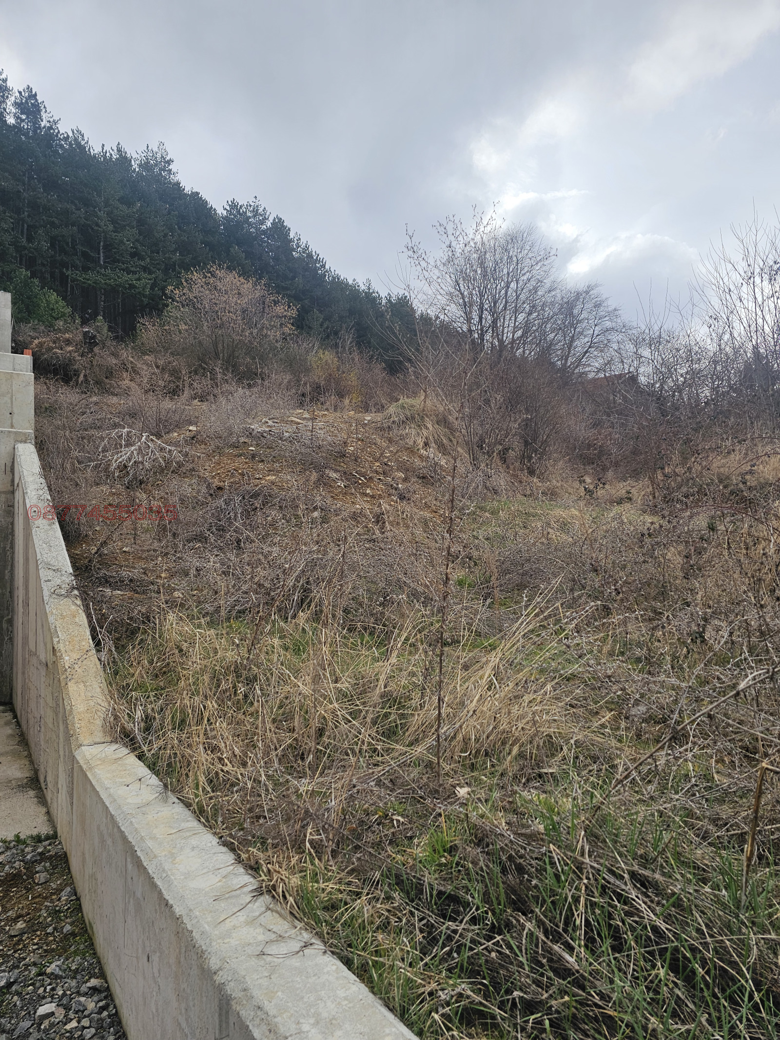 Продава ПАРЦЕЛ, с. Кладница, област Перник, снимка 5 - Парцели - 53988450