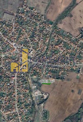 ������ ������� ������