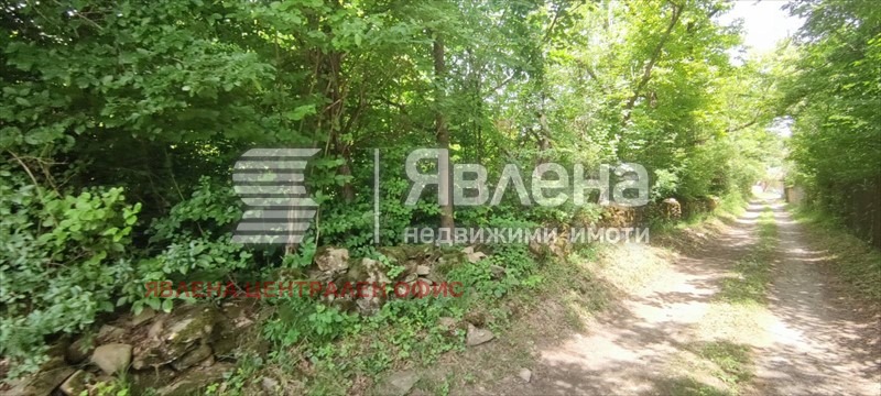 Продава ПАРЦЕЛ, с. Орешак, област Ловеч, снимка 4 - Парцели - 54071898