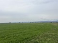 Продава ПАРЦЕЛ, гр. София, Враждебна, снимка 1