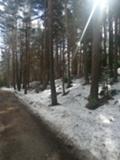 Продава ПАРЦЕЛ, с. Гълъбово, област Пловдив, снимка 2
