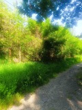 Продава ПАРЦЕЛ, град София, м-т яз. Искър • 50820 € • 17846183 — Holmes.bg