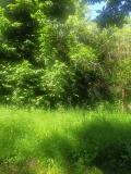 Продава ПАРЦЕЛ, град София, м-т яз. Искър • 50820 € • 17846183 — Holmes.bg