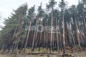 ������� ���� | Imot.bg � ����� ������ 3